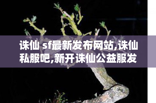 诛仙 sf最新发布网站,诛仙私服吧,新开诛仙公益服发布网,诛仙私服吧