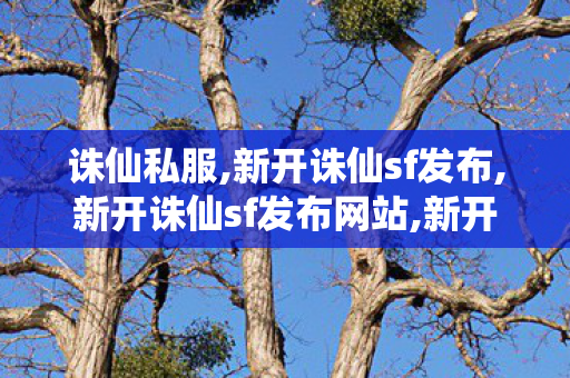诛仙私服,新开诛仙sf发布,新开诛仙sf发布网站,新开诛仙sf发布