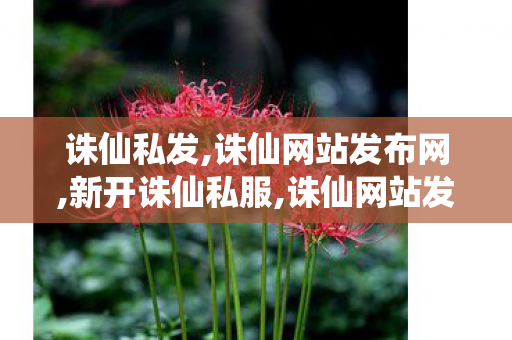 诛仙私发,诛仙网站发布网,新开诛仙私服,诛仙网站发布网