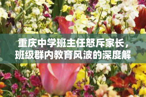 重庆中学班主任怒斥家长，班级群内教育风波的深度解析