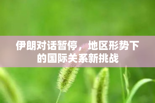伊朗对话暂停，地区形势下的国际关系新挑战