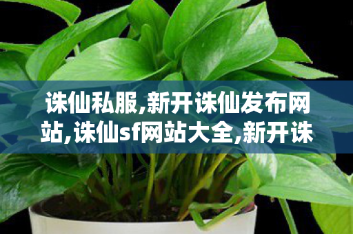 诛仙私服,新开诛仙发布网站,诛仙sf网站大全,新开诛仙发布网站