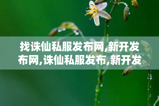找诛仙私服发布网,新开发布网,诛仙私服发布,新开发布网