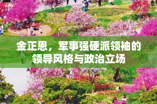 金正恩，军事强硬派领袖的领导风格与政治立场