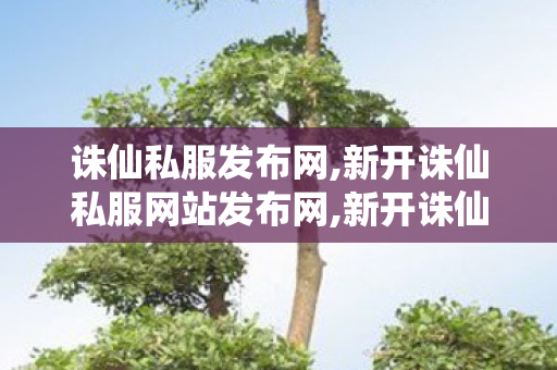 诛仙私服发布网,新开诛仙私服网站发布网,新开诛仙发布网,新开诛仙私服网站发布网