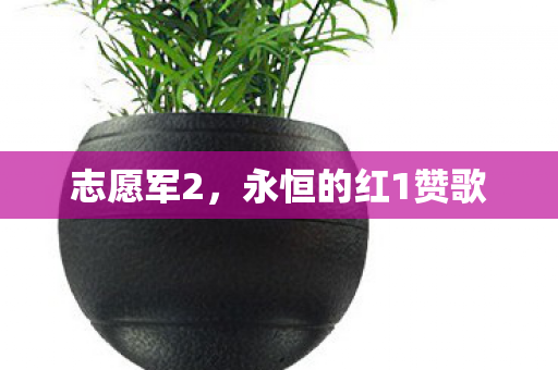 志愿军2，永恒的红1赞歌