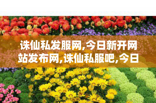 诛仙私发服网,今日新开网站发布网,诛仙私服吧,今日新开网站发布网