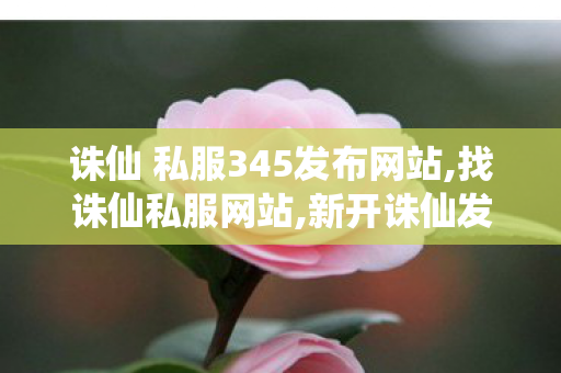 诛仙 私服345发布网站,找诛仙私服网站,新开诛仙发布网站,找诛仙私服网站