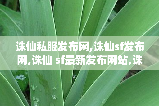 诛仙私服发布网,诛仙sf发布网,诛仙 sf最新发布网站,诛仙sf发布网