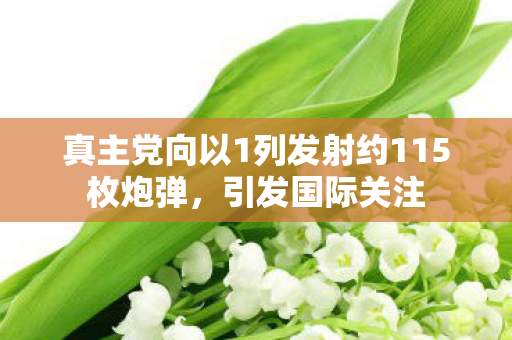 真主党向以1列发射约115枚炮弹，引发国际关注
