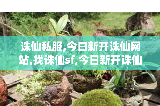诛仙私服,今日新开诛仙网站,找诛仙sf,今日新开诛仙网站