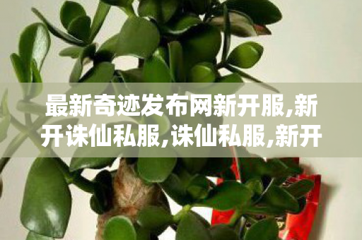 最新奇迹发布网新开服,新开诛仙私服,诛仙私服,新开诛仙私服