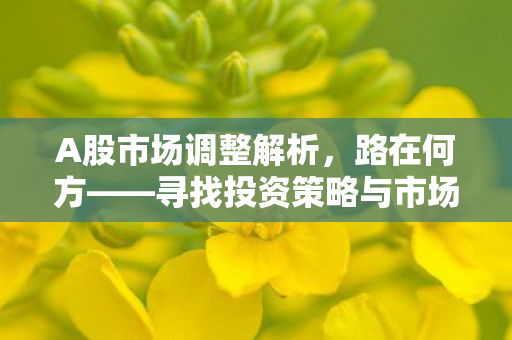 A股市场调整解析，路在何方——寻找投资策略与市场机遇
