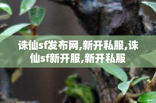 诛仙sf发布网,新开私服,诛仙sf新开服,新开私服
