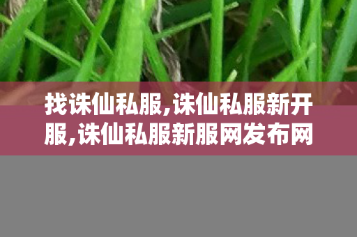 找诛仙私服,诛仙私服新开服,诛仙私服新服网发布网,诛仙私服新开服