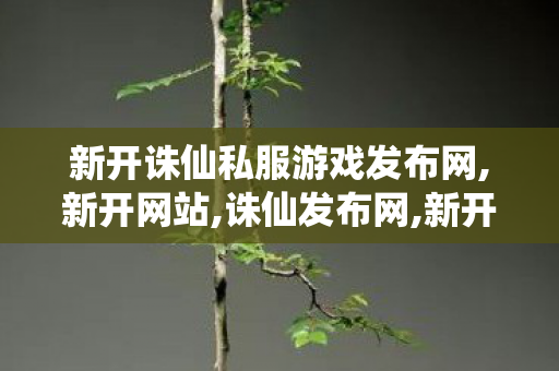 新开诛仙私服游戏发布网,新开网站,诛仙发布网,新开网站