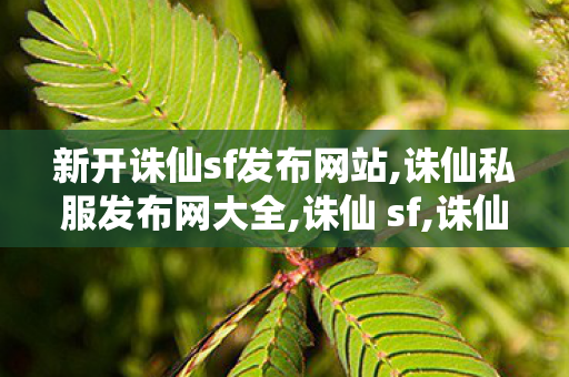 新开诛仙sf发布网站,诛仙私服发布网大全,诛仙 sf,诛仙私服发布网大全