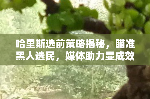 哈里斯选前策略揭秘，瞄准黑人选民，媒体助力显成效