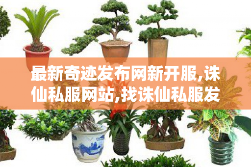 最新奇迹发布网新开服,诛仙私服网站,找诛仙私服发布网站,诛仙私服网站