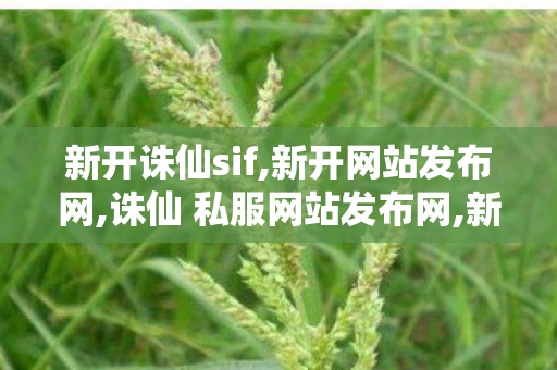 新开诛仙sif,新开网站发布网,诛仙 私服网站发布网,新开网站发布网