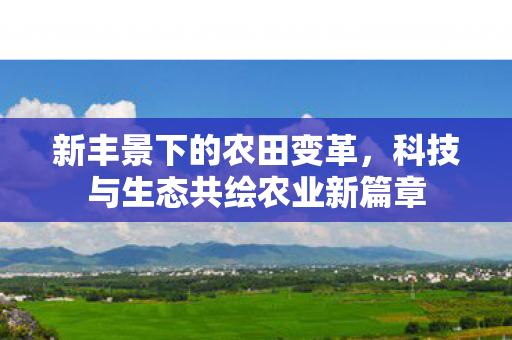 新丰景下的农田变革，科技与生态共绘农业新篇章
