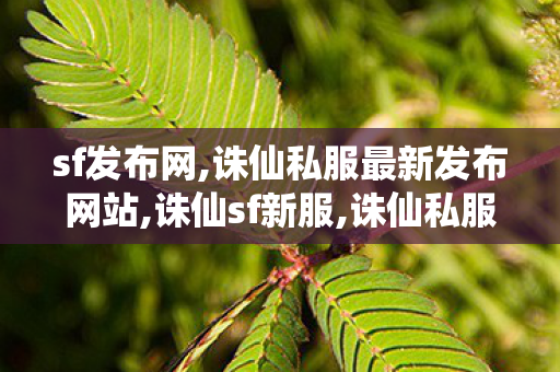 sf发布网,诛仙私服最新发布网站,诛仙sf新服,诛仙私服最新发布网站