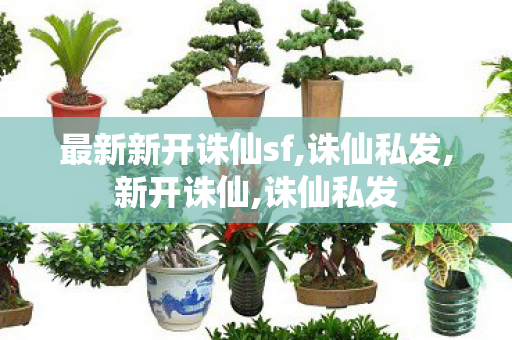 最新新开诛仙sf,诛仙私发,新开诛仙,诛仙私发