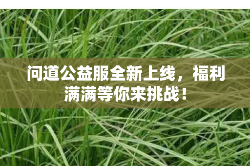 问道公益服全新上线，福利满满等你来挑战！