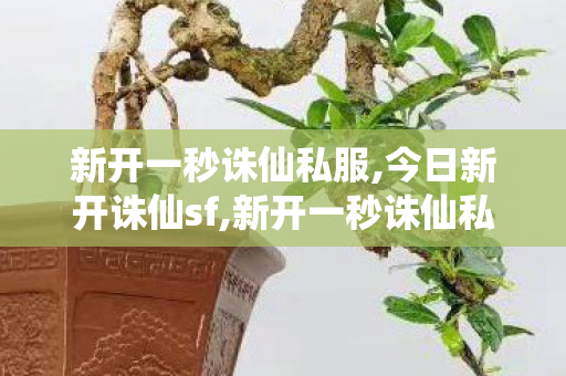 新开一秒诛仙私服,今日新开诛仙sf,新开一秒诛仙私服,今日新开诛仙sf