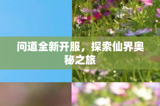 问道全新开服，探索仙界奥秘之旅