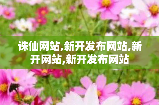 诛仙网站,新开发布网站,新开网站,新开发布网站