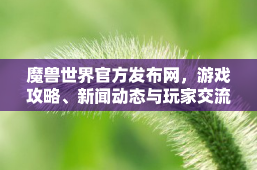 魔兽世界官方发布网，游戏攻略、新闻动态与玩家交流平台