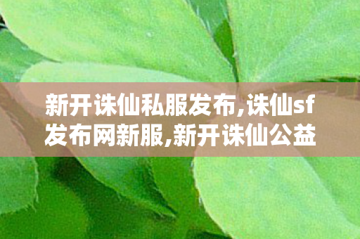 新开诛仙私服发布,诛仙sf发布网新服,新开诛仙公益服发布网,诛仙sf发布网新服
