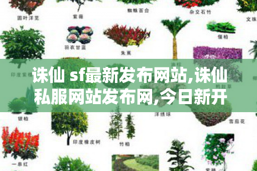 诛仙 sf最新发布网站,诛仙 私服网站发布网,今日新开诛仙网站,诛仙 私服网站发布网