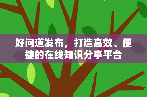 好问道发布，打造高效、便捷的在线知识分享平台