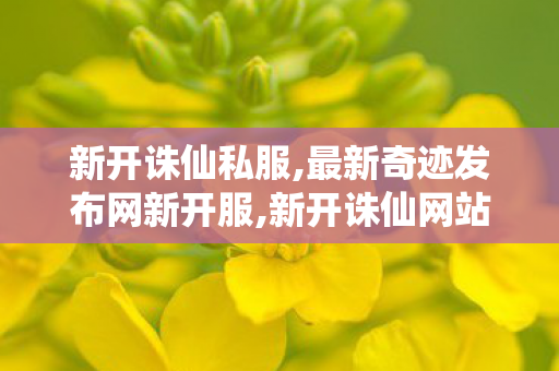 新开诛仙私服,最新奇迹发布网新开服,新开诛仙网站发布网,最新奇迹发布网新开服