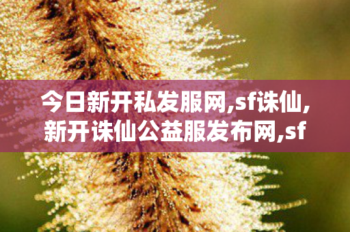 今日新开私发服网,sf诛仙,新开诛仙公益服发布网,sf诛仙
