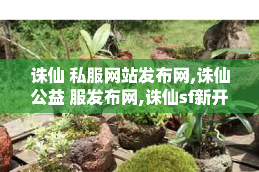 诛仙 私服网站发布网,诛仙公益 服发布网,诛仙sf新开区网站,诛仙公益 服发布网