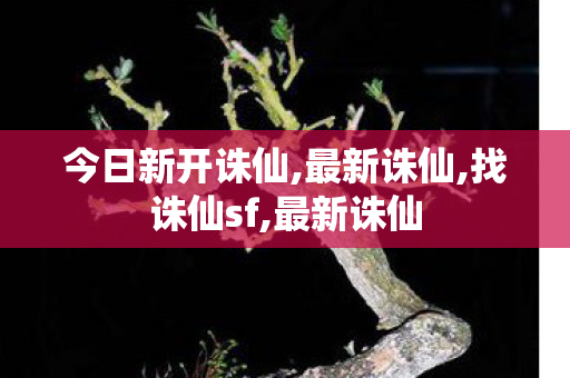 今日新开诛仙,最新诛仙,找诛仙sf,最新诛仙