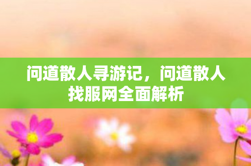 问道散人寻游记，问道散人找服网全面解析