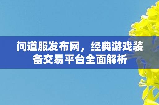 问道服发布网，经典游戏装备交易平台全面解析
