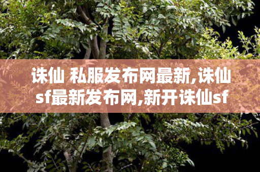 诛仙 私服发布网最新,诛仙 sf最新发布网,新开诛仙sf,诛仙 sf最新发布网