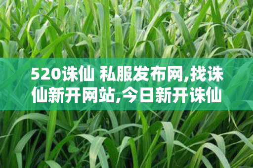 520诛仙 私服发布网,找诛仙新开网站,今日新开诛仙sf,找诛仙新开网站