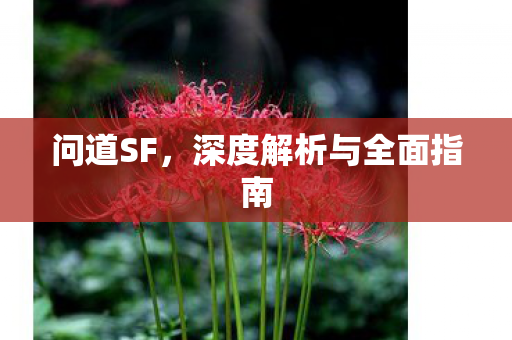 问道SF，深度解析与全面指南