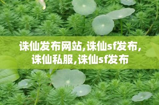 诛仙发布网站,诛仙sf发布,诛仙私服,诛仙sf发布