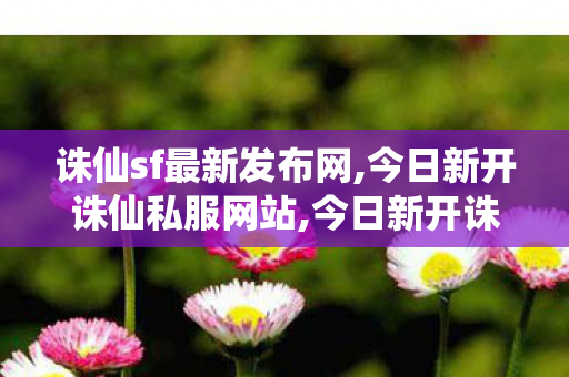 诛仙sf最新发布网,今日新开诛仙私服网站,今日新开诛仙,今日新开诛仙私服网站