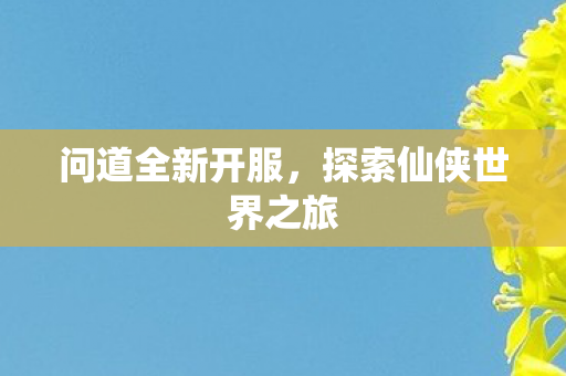 问道全新开服，探索仙侠世界之旅