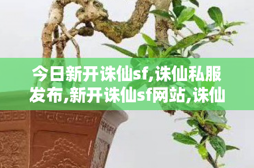 今日新开诛仙sf,诛仙私服发布,新开诛仙sf网站,诛仙私服发布