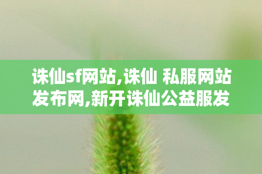 诛仙sf网站,诛仙 私服网站发布网,新开诛仙公益服发布网,诛仙 私服网站发布网