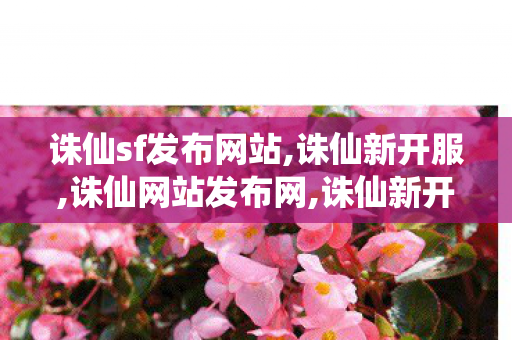 诛仙sf发布网站,诛仙新开服,诛仙网站发布网,诛仙新开服